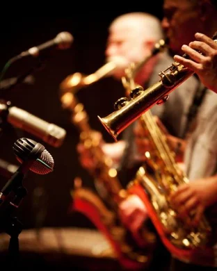 Snarky Puppy